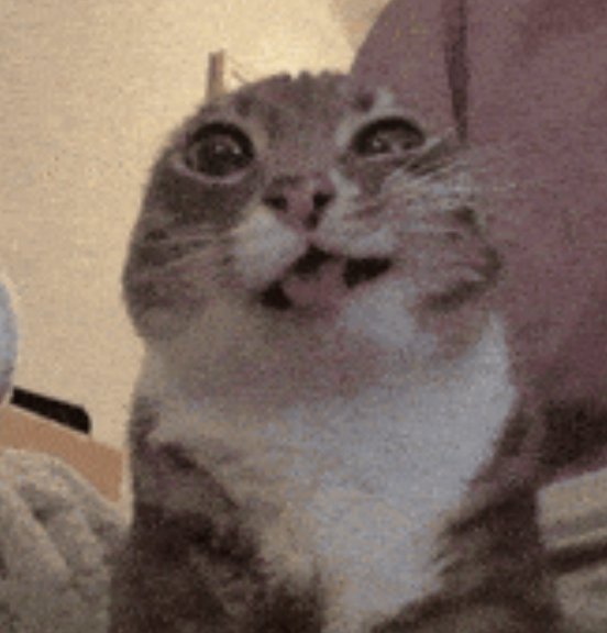 Orlok 🔞 tweet media