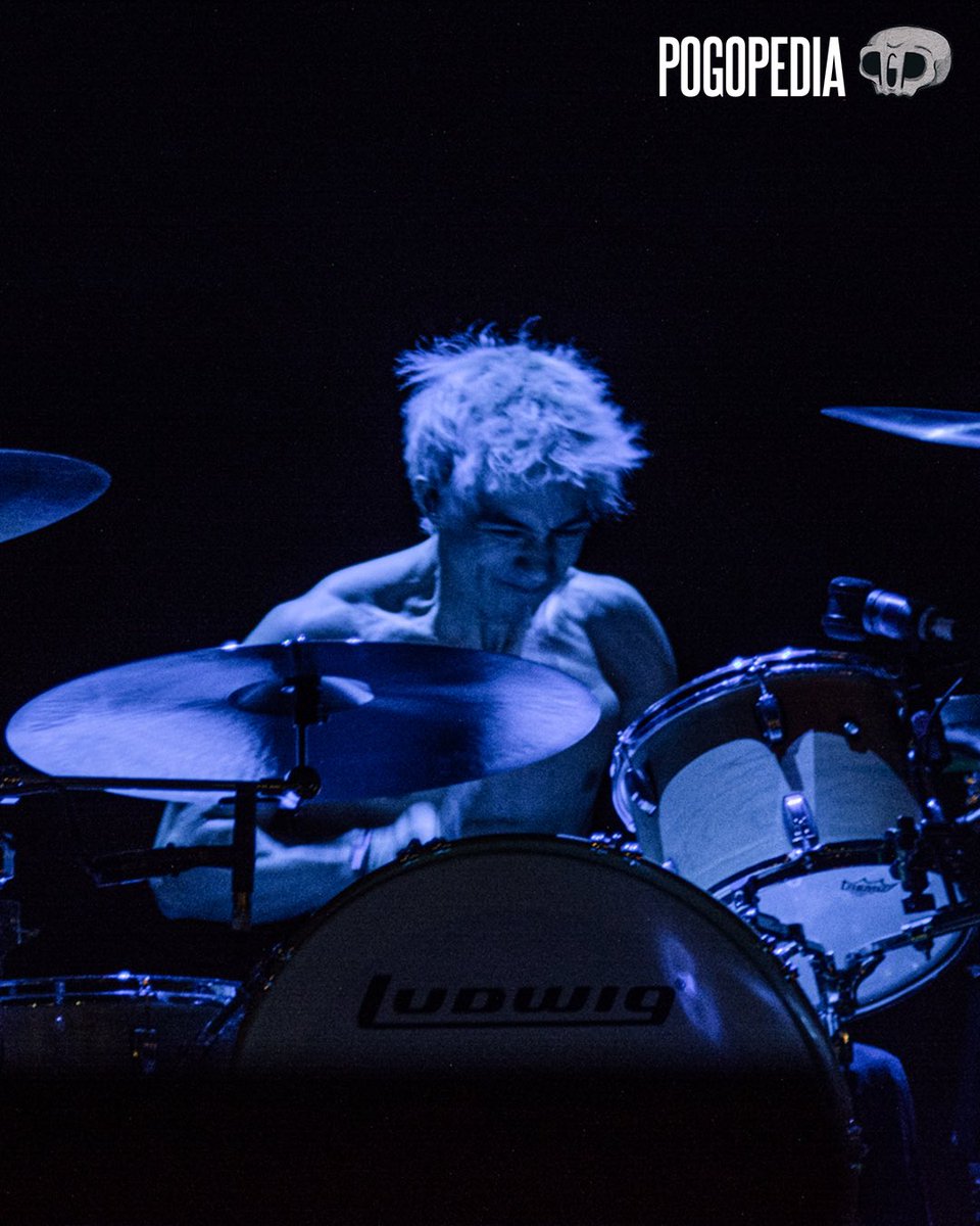 Pogopedia tweet media