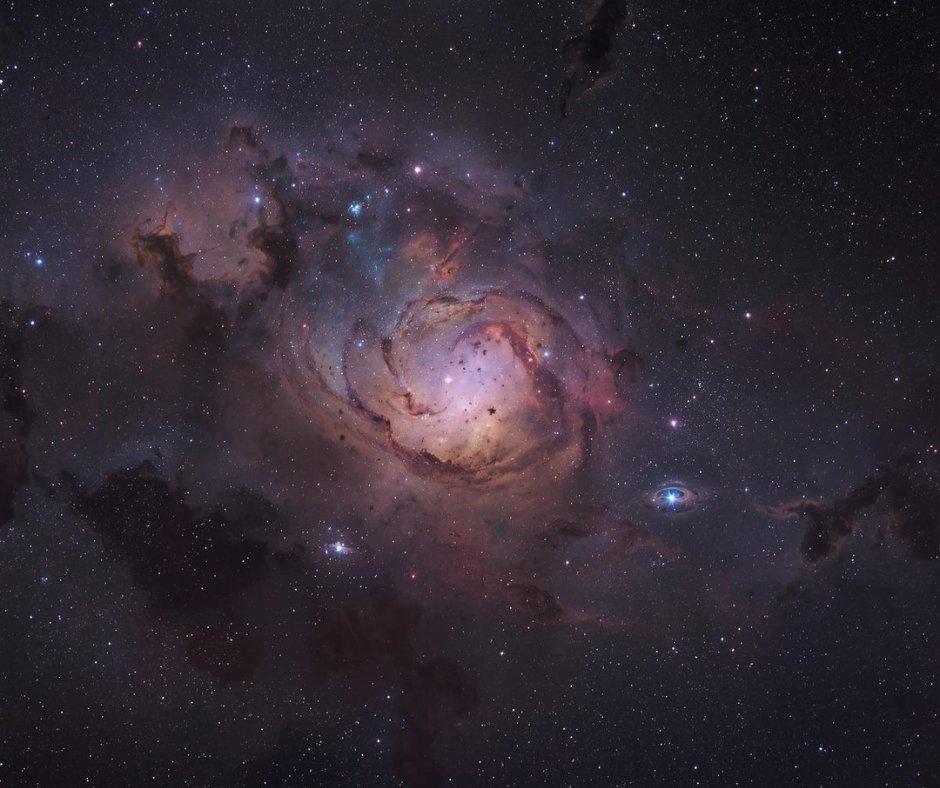 Neale Donald Walsch tweet media