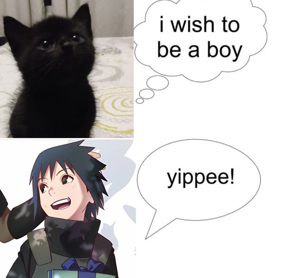 mal ⋆˚꩜｡ tweet media