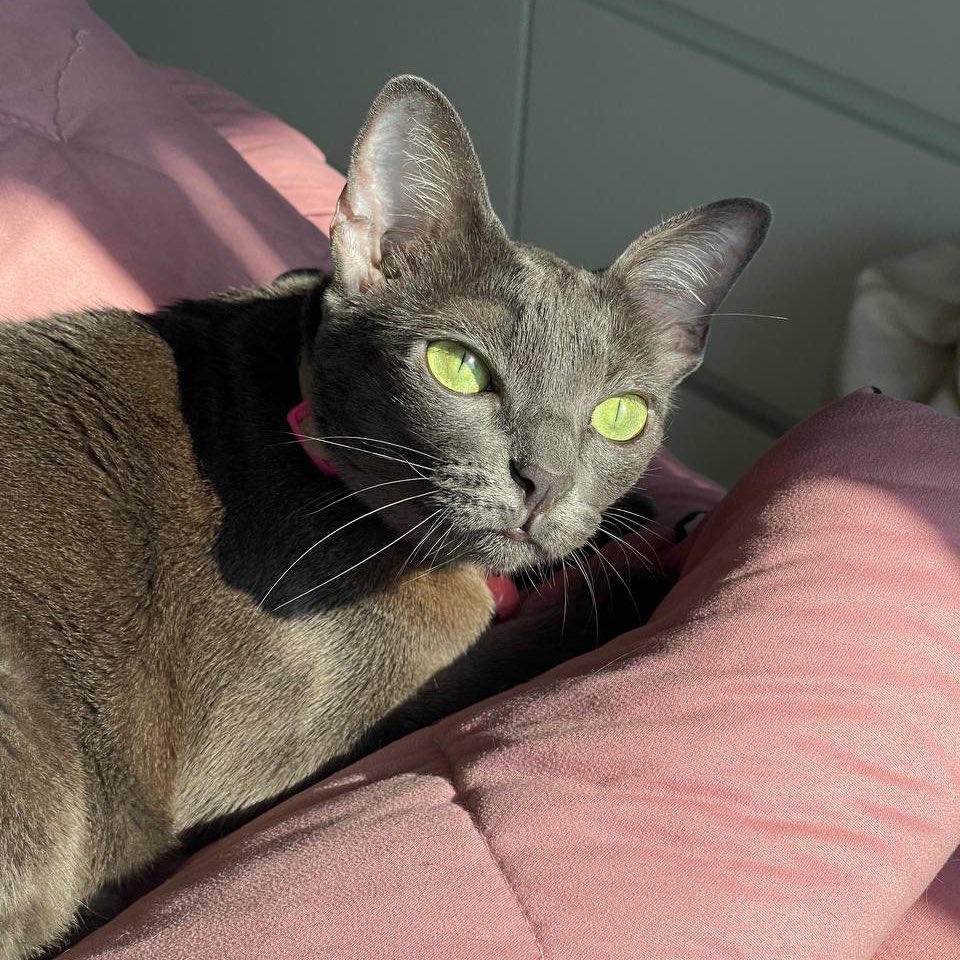 แล้วคิดว่าผมชอบคุณนักหรือไง