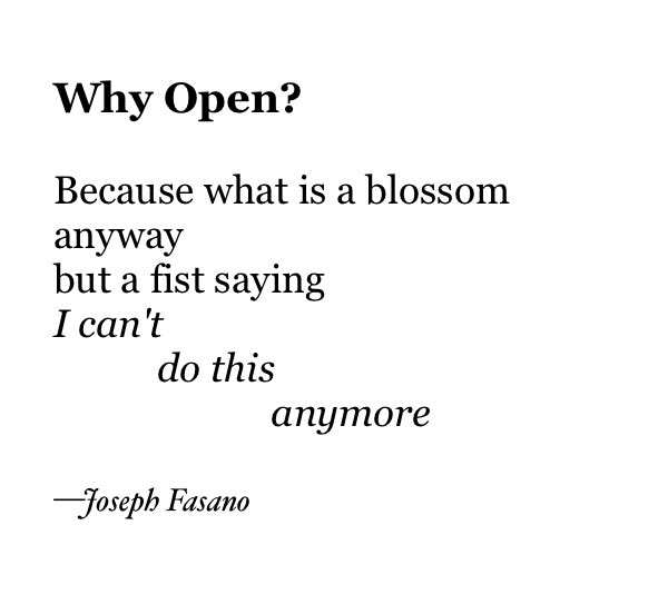 Joseph Fasano tweet media