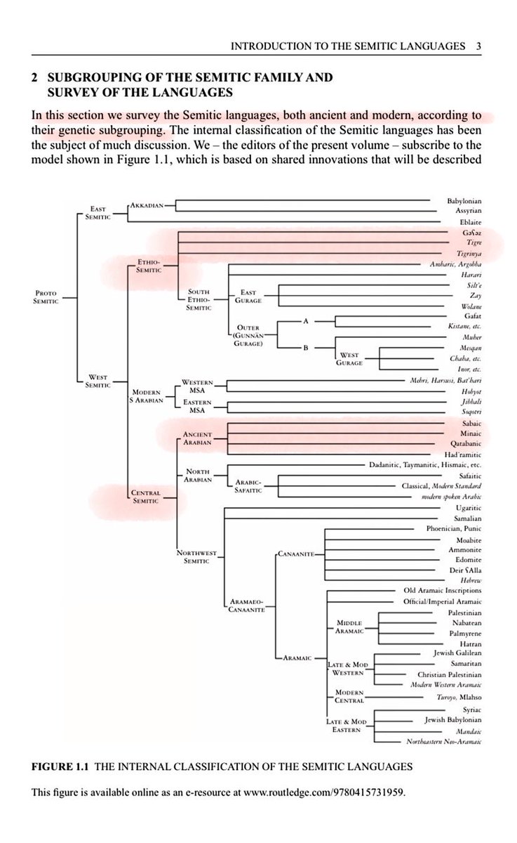 معد كرب tweet media