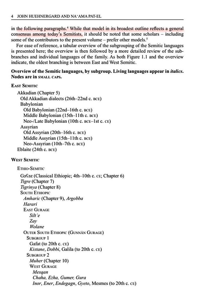 معد كرب tweet media