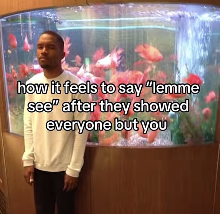 𝙻𝙰𝙽𝙴𝚈 𝚁𝙰𝙱𝙱𝙸𝚃 ˖Ი𐑼⋆ tweet media