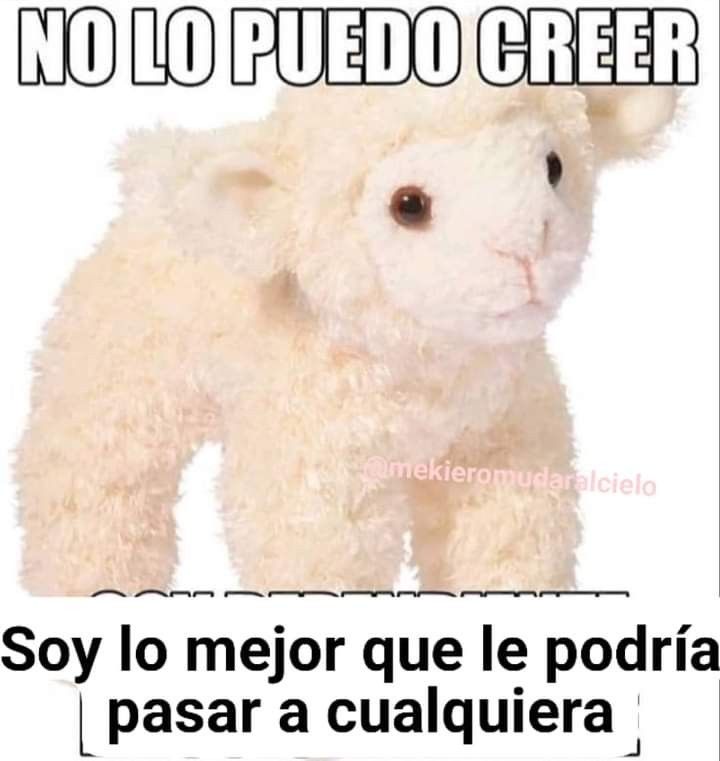 Honey 222 | ley de asunción 🤍 tweet media