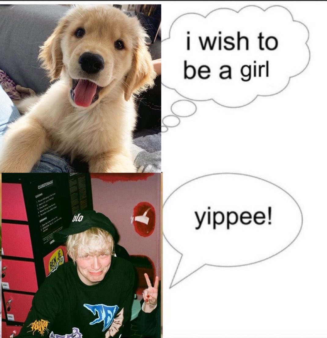 cam is tadcpilled tweet media