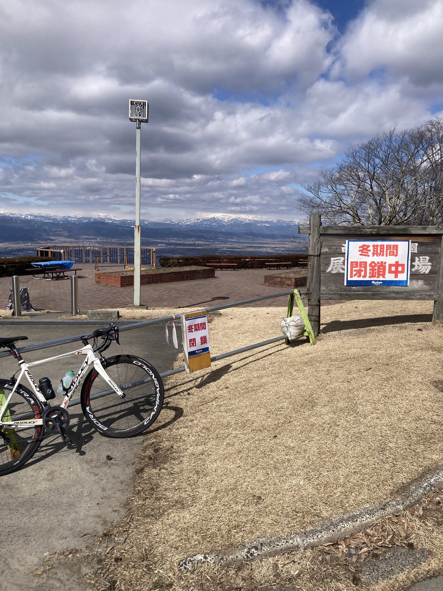 とよたま@ tweet media