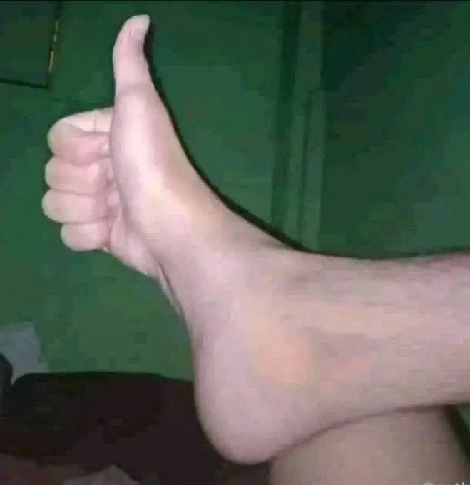 trophy435 tweet media