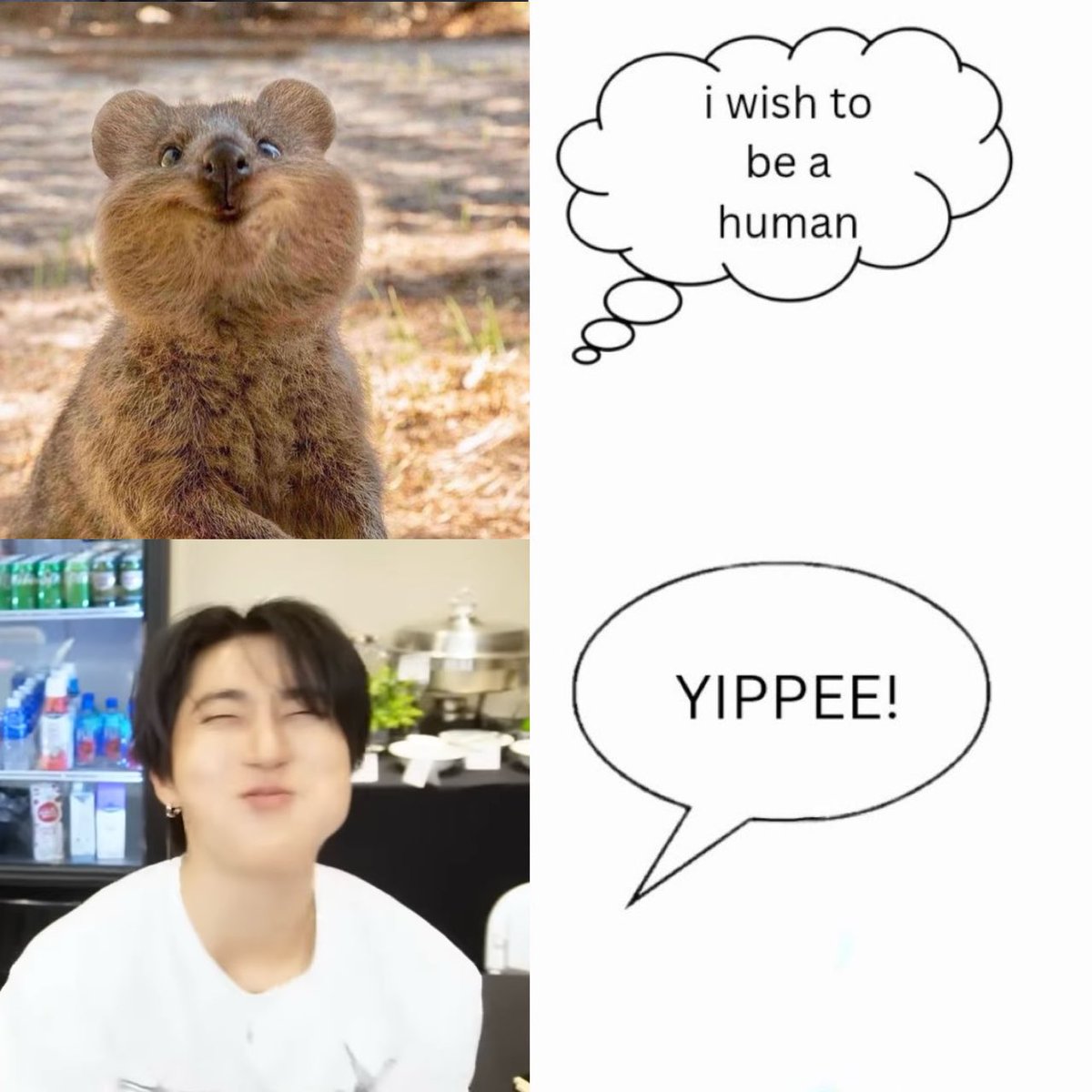 melシ SAW SKZ tweet media