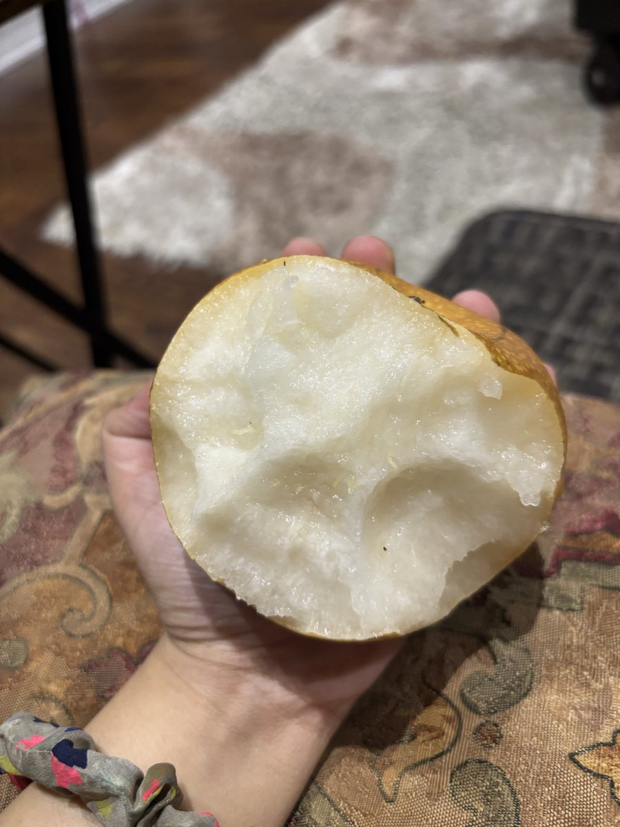 ~ zunna 🎵🪽edtwt tweet media