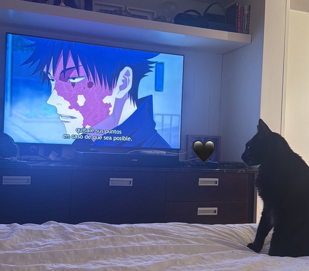 PiliLola tweet media