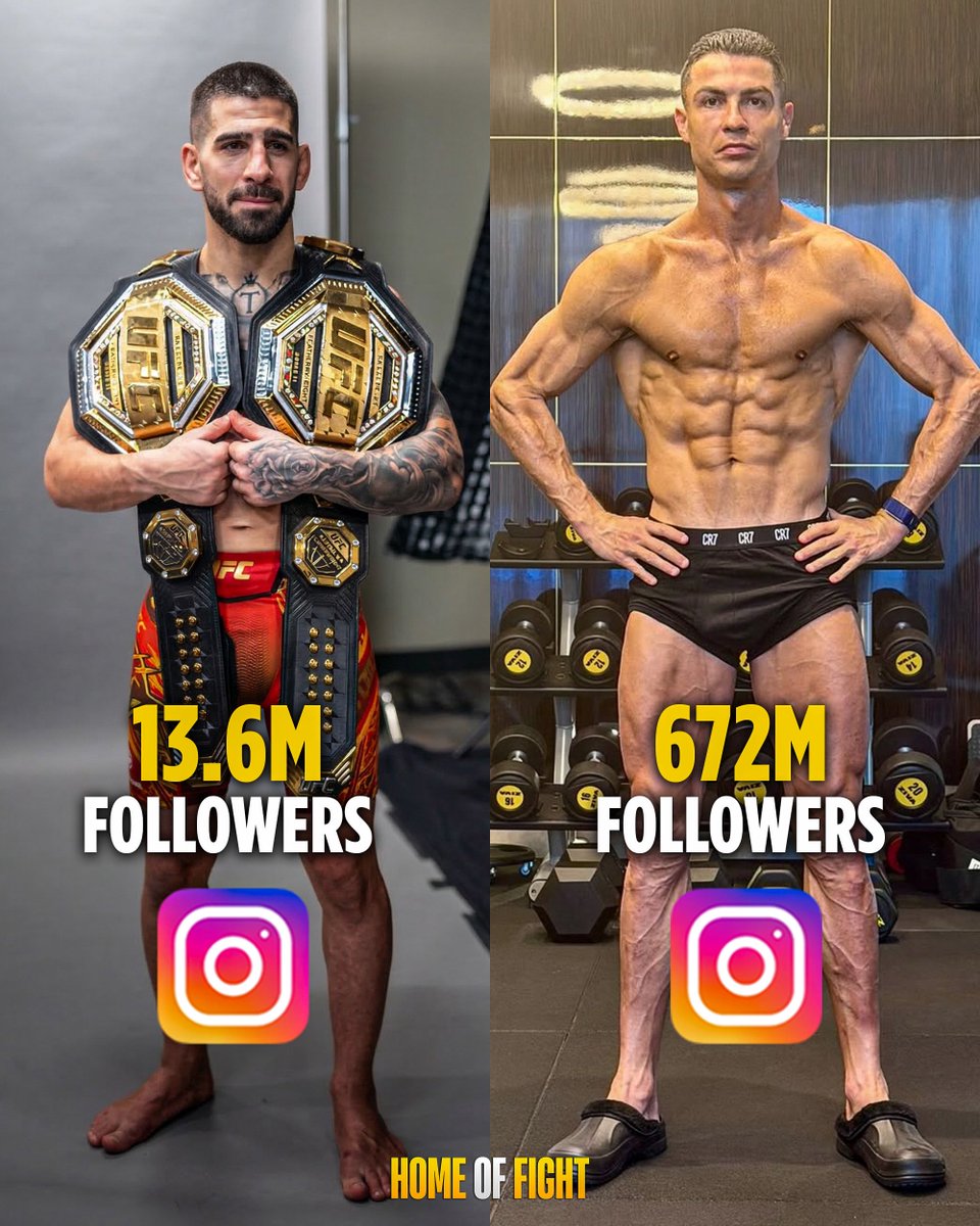 Home of Fight tweet media