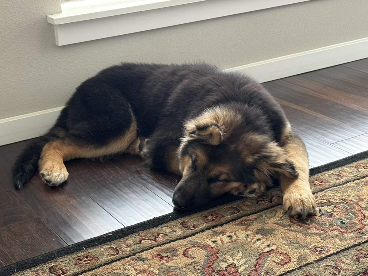 ✖ 𝙆𝘼𝙋𝙏𝘼𝙄𝙉 🏴☠️ tweet media