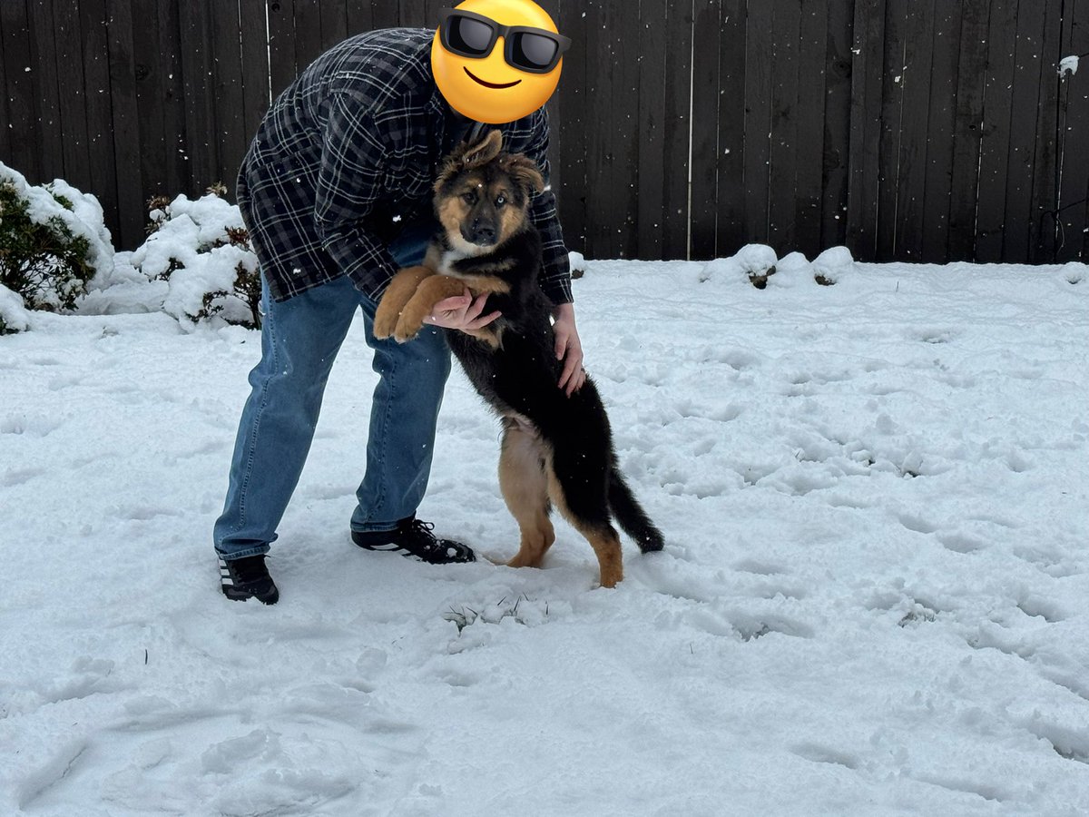 ✖ 𝙆𝘼𝙋𝙏𝘼𝙄𝙉 🏴☠️ tweet media