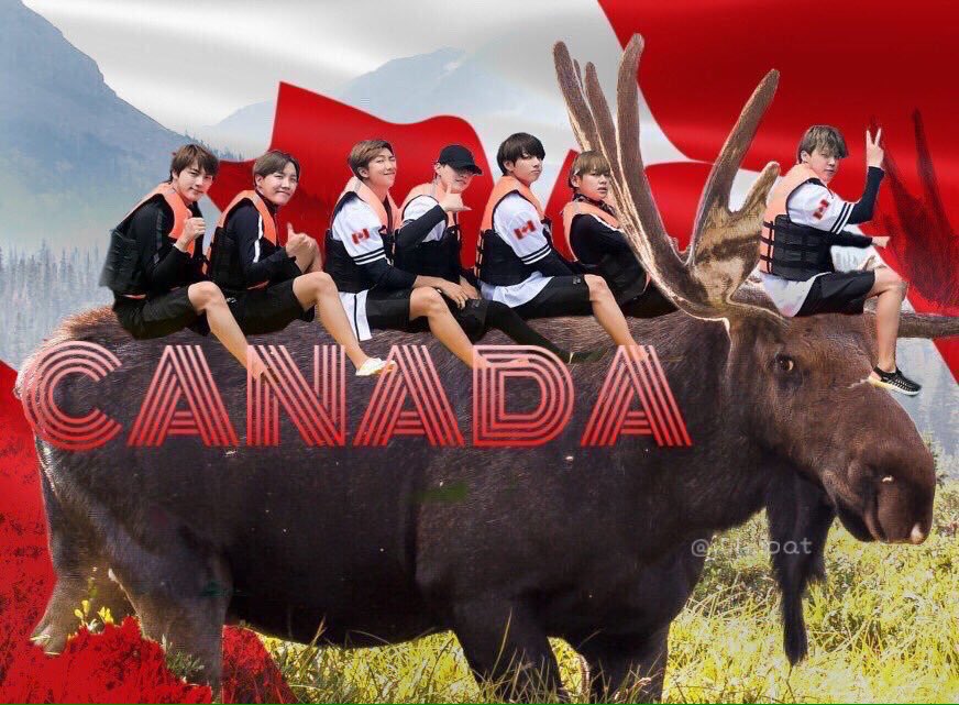 Kincaid⁷🇨🇦💜 (@kincaid134340) on Twitter photo 