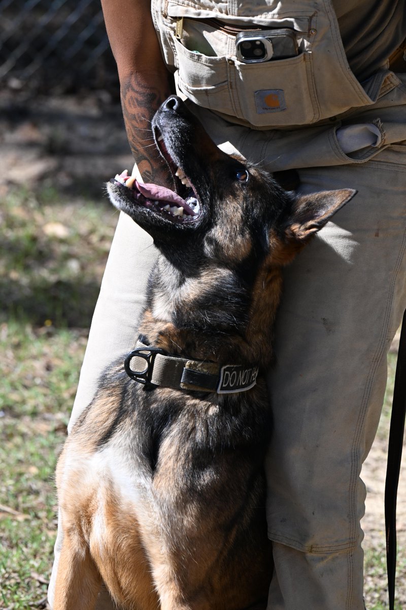 Fort Jackson tweet media