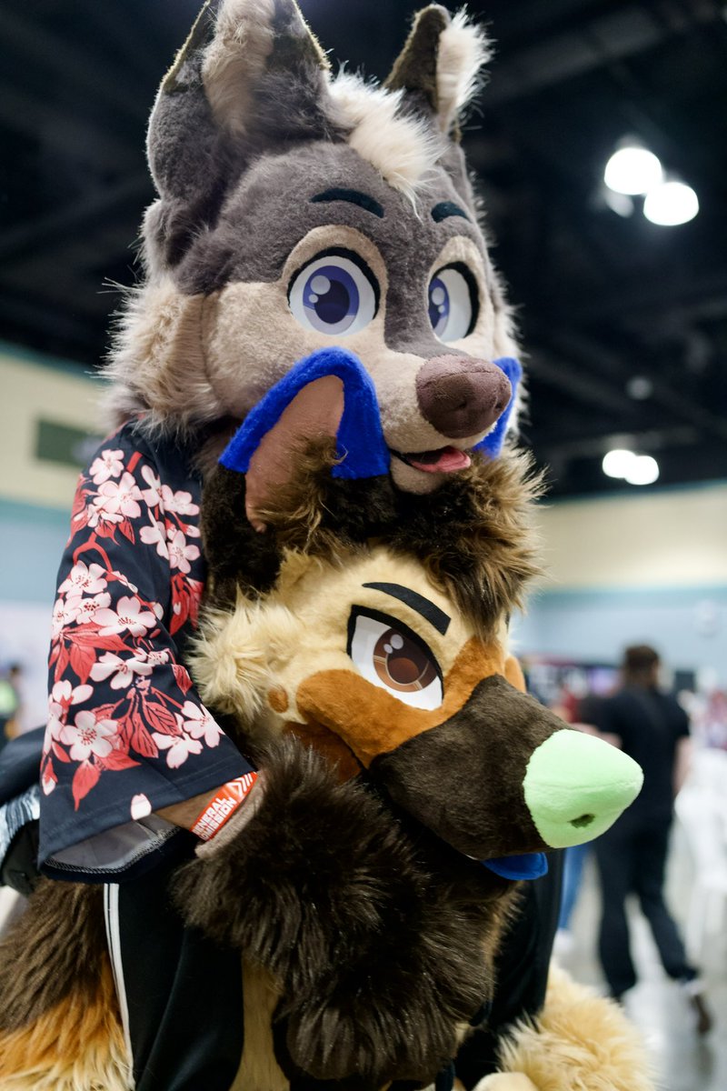 Rokko🇵🇷 tweet media