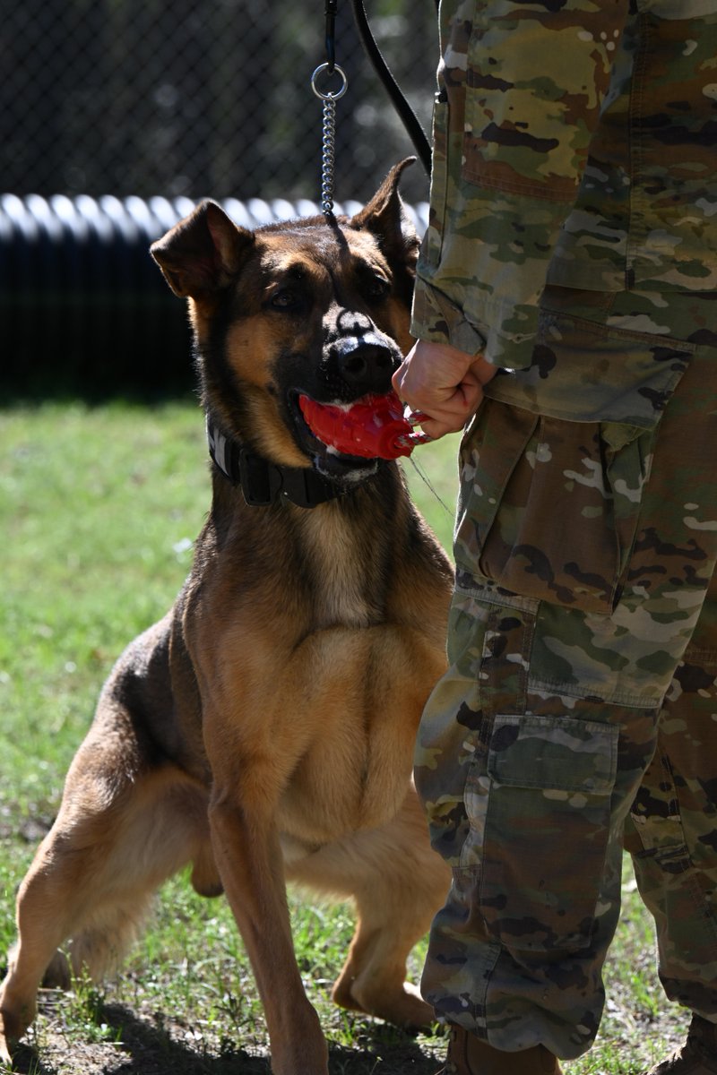 Fort Jackson tweet media
