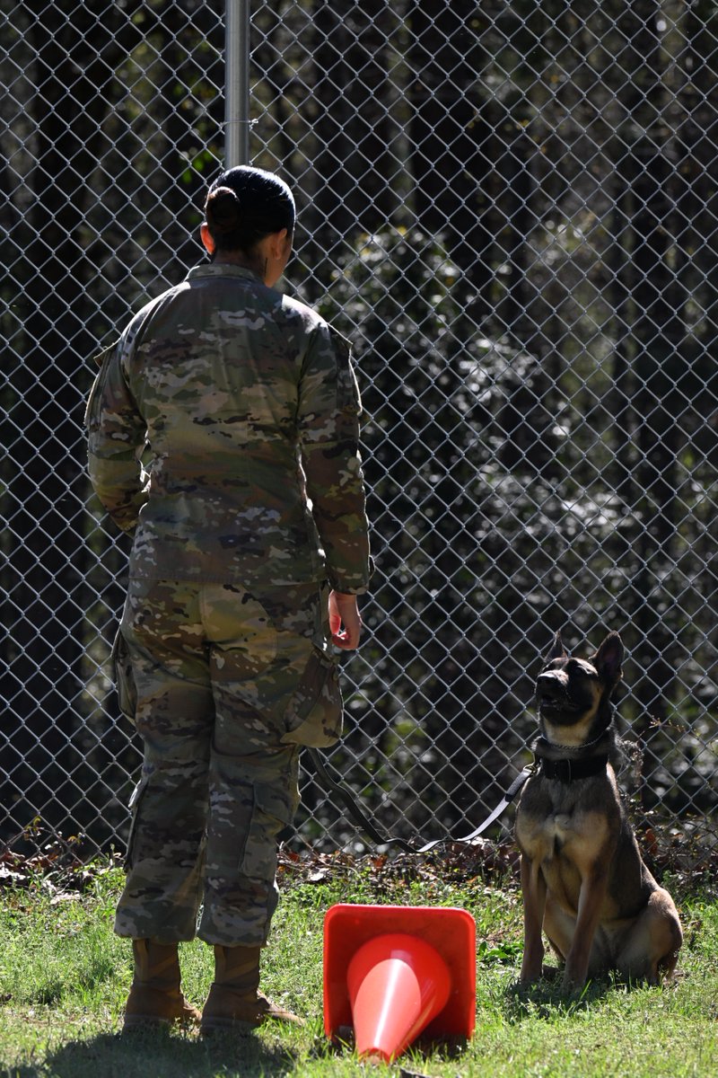 Fort Jackson tweet media