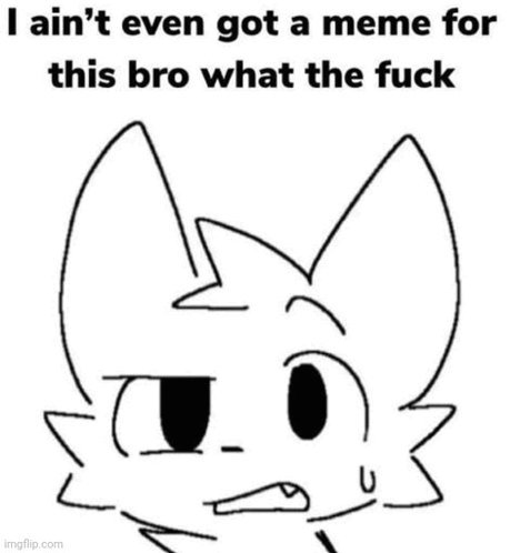 Robert Fox tweet media