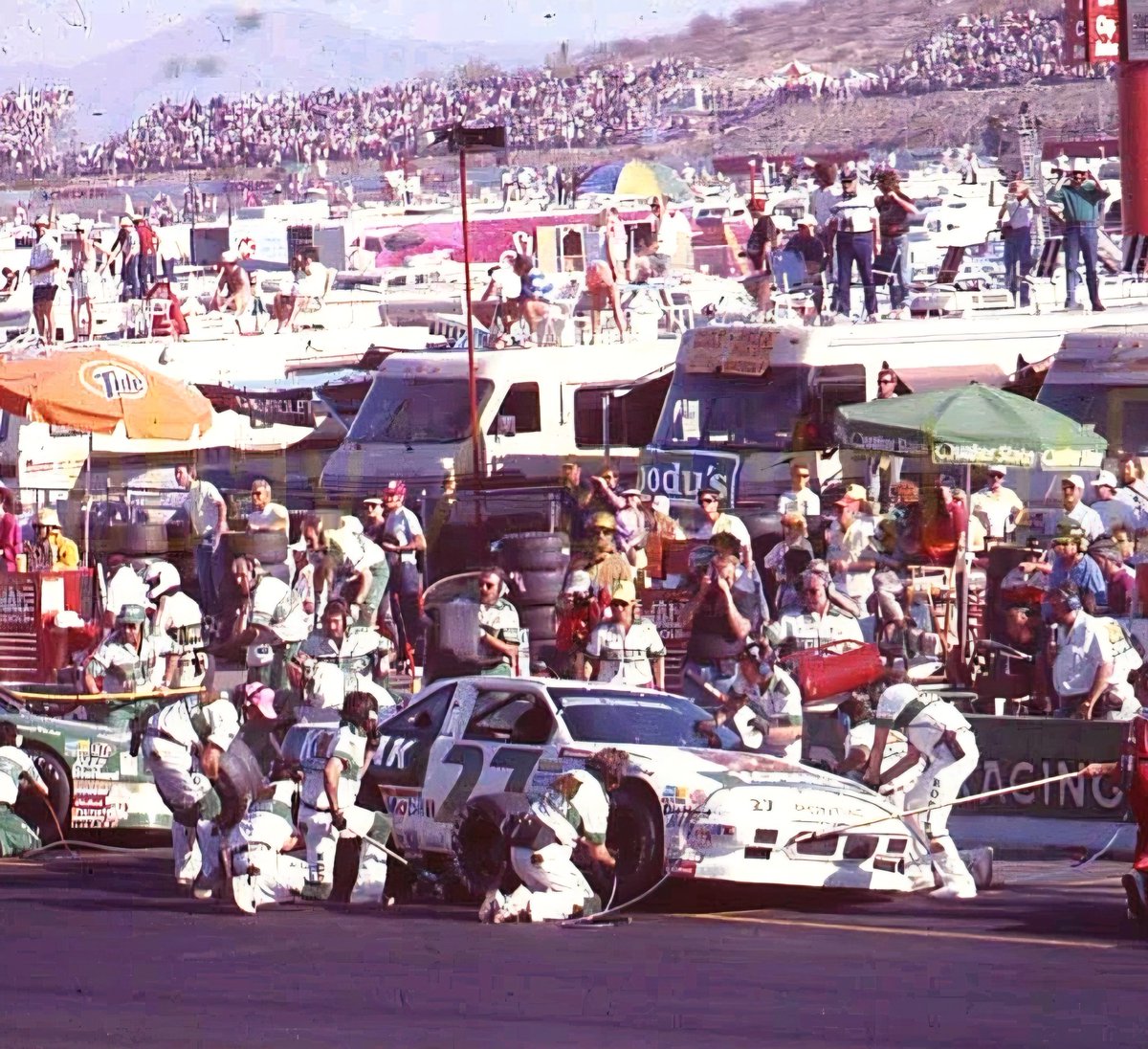 Wrangler3Goodwrench tweet media