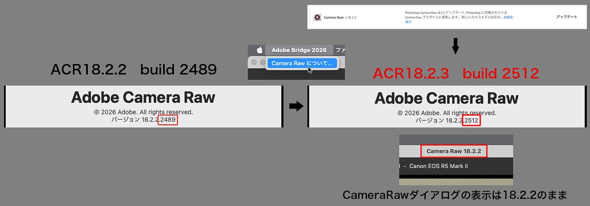 Lightcrew05's tweet photo. 昨日のCameraRaw18.2.2のアップデートに続き、本日18.2.3が出ましたが、今度はダイアログのNo表記が18.2.2のままです。「CameraRawについて」を表示してバージョンNoの下四桁が2512であれば、18.2.3だと言うことで間違いないと思います。ややこしい。
#CameraRaw https://t.co/R6gyviIdnK