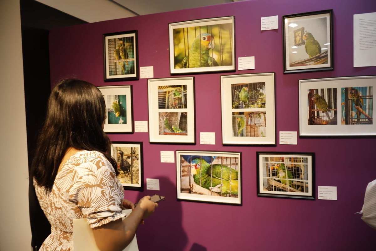 Ayuntamiento de Centro tweet media