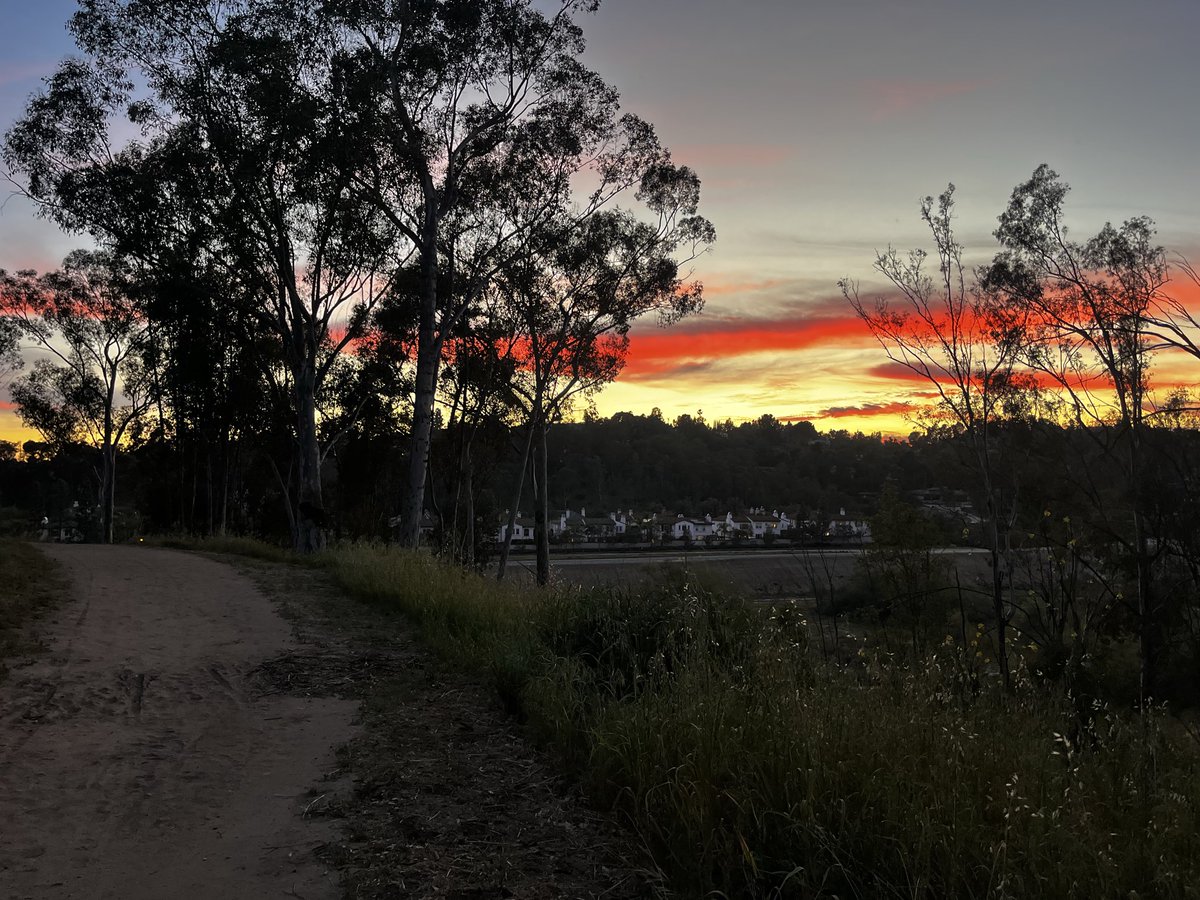 MichaelBoldin tweet media