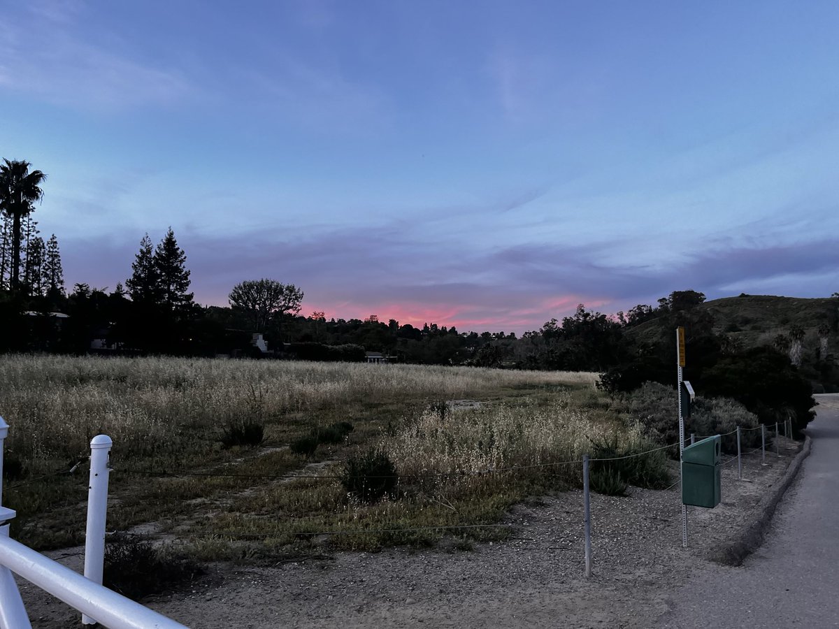 MichaelBoldin tweet media