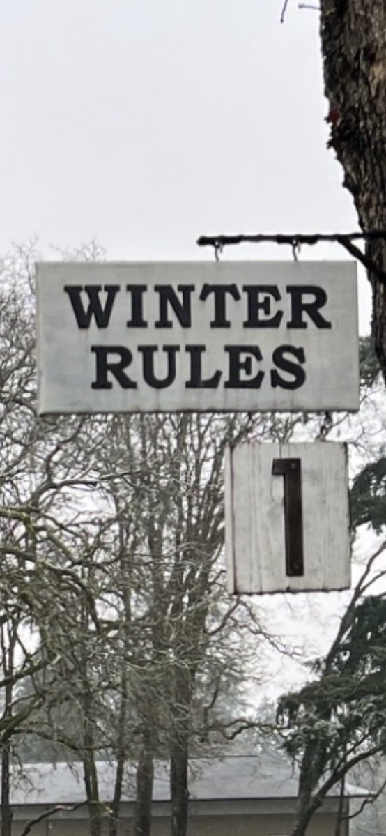 Richard Young tweet media