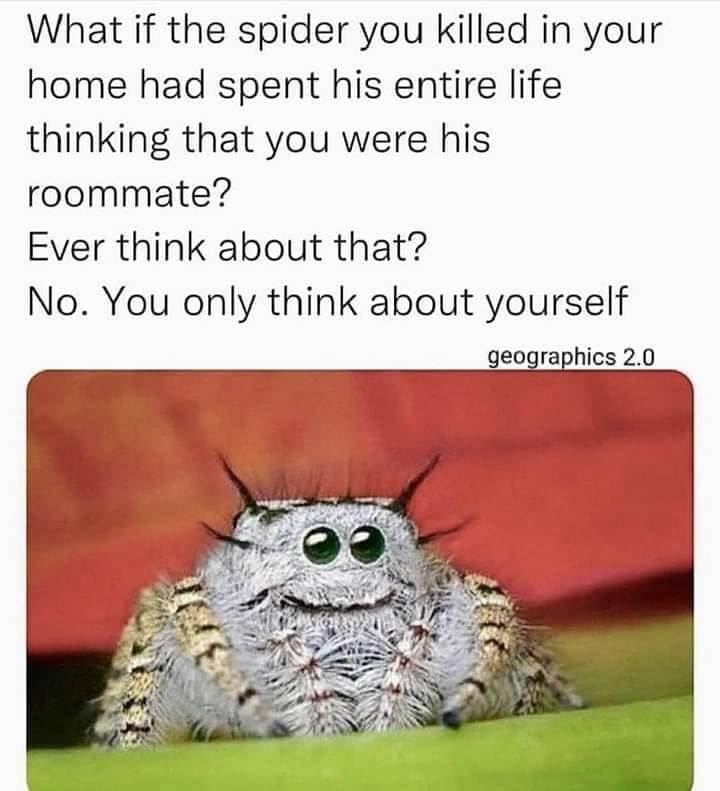 Spill The Memes tweet media