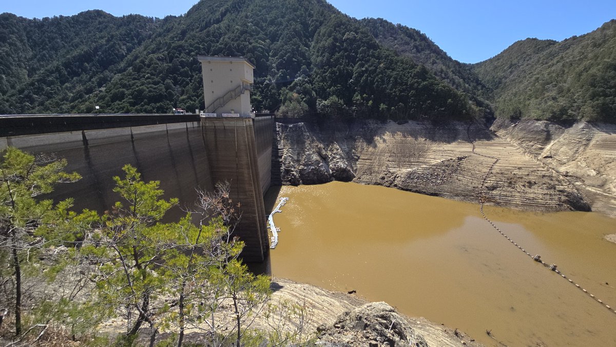 加藤ラッセル tweet media