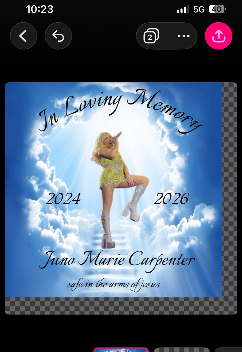 jamie 🐾 tweet media