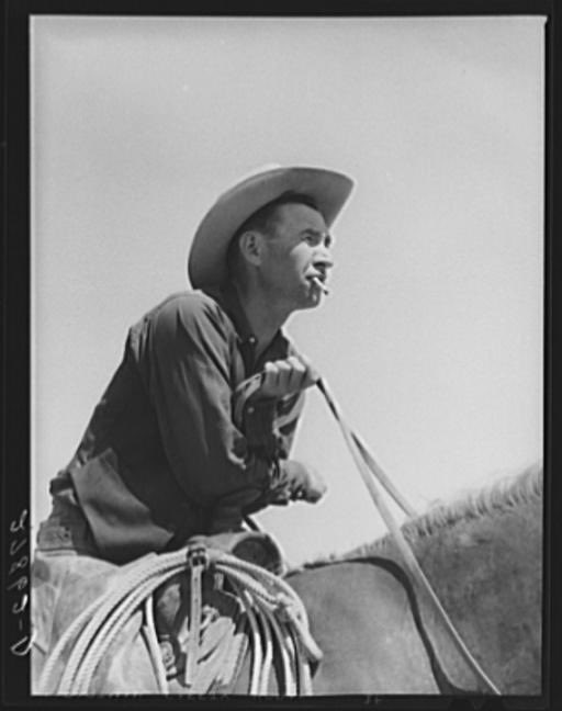 jonmarkhogg's tweet photo. @cspan @SecRollins Not a one of those guys is an actual working cowboy. https://t.co/Rvvl9bPhzJ