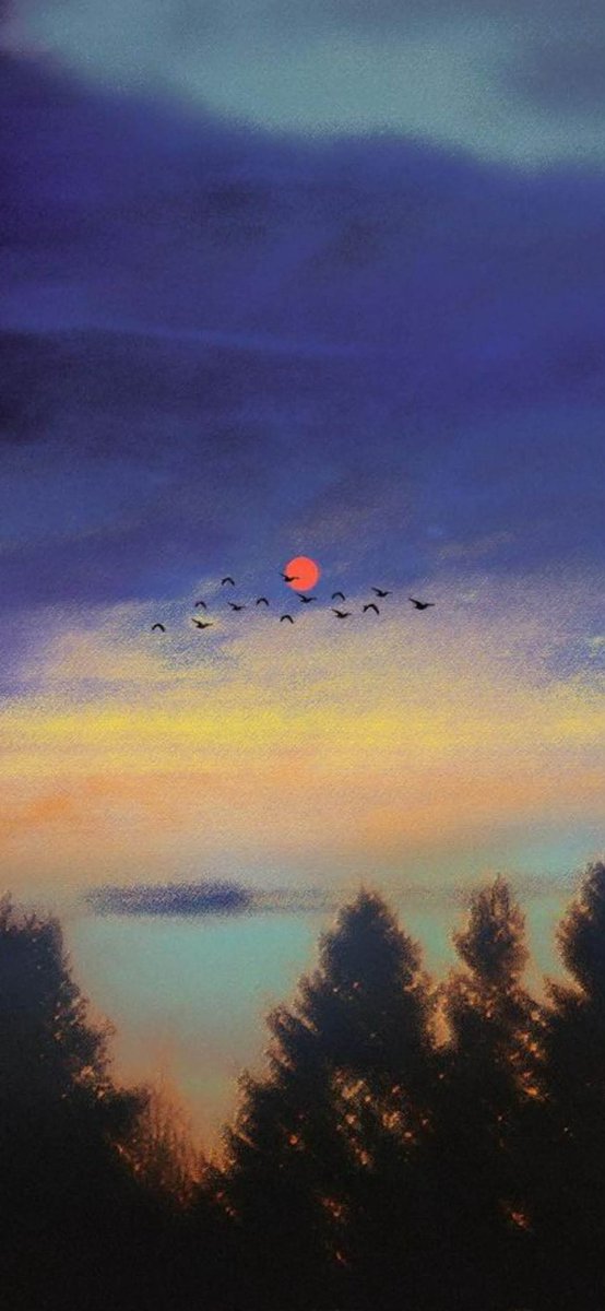 NecdiyeY's tweet image. #Günaydın  Hayat 🪴🍀🦋🐞

     #Hayırlı sahurlar🍀☕️

     #Namaz  huzur🙏🤲
    
      #Mutlu hafta sonları   14 mart🌹