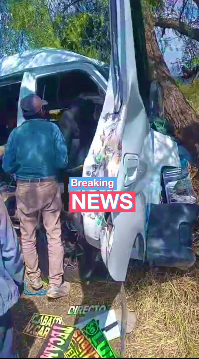 HalconOnce's tweet photo. IMPRUDENCIA AL VOLANTE TERMINA EN TRAGEDIA
Unidad de transporte público con número económico 223 de la línea Flecha Azul se estrelló contra un árbol en #Temascalapa, #Edomex.
El accidente sobre la carretera Temascalapa- Santa Anna.
Un adulto mayor murió en el lugar
8 lesionados
4 fueron trasladados a un hospital
El conductor resultó herido y quedó bajo custodia de las autoridades.
Otro accidente más de los consetidos de @SEMOV_Edomex.