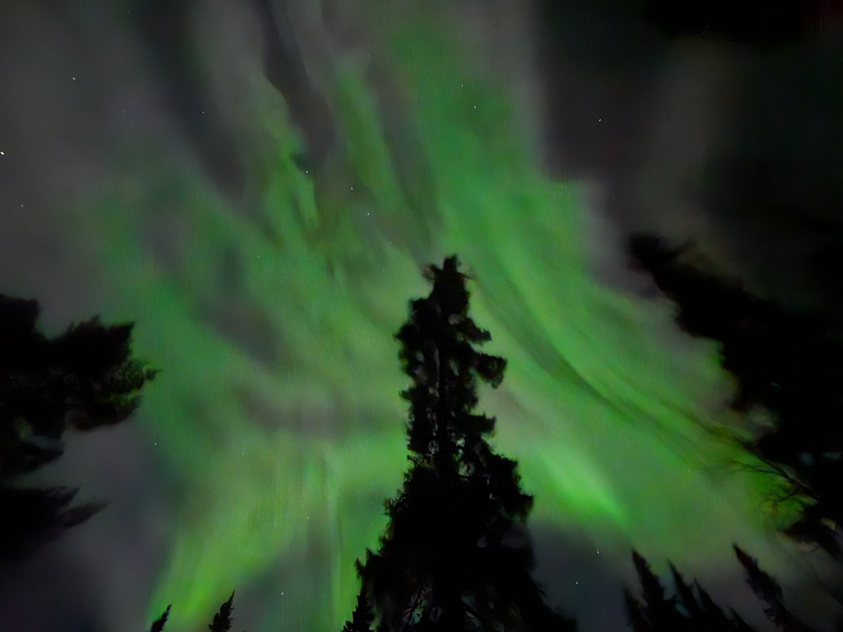 Martin 🇨🇿🇫🇮 tweet media