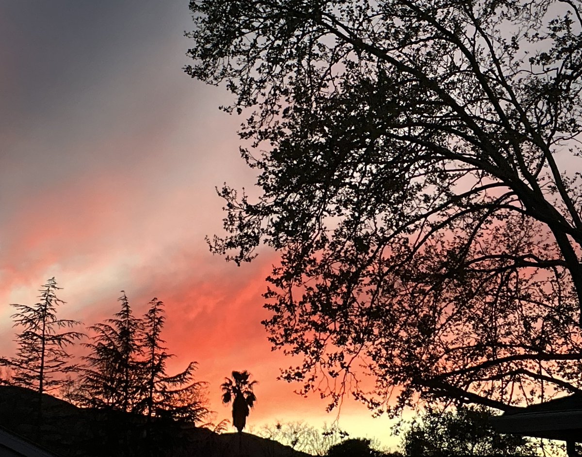 Susan Cochran tweet media