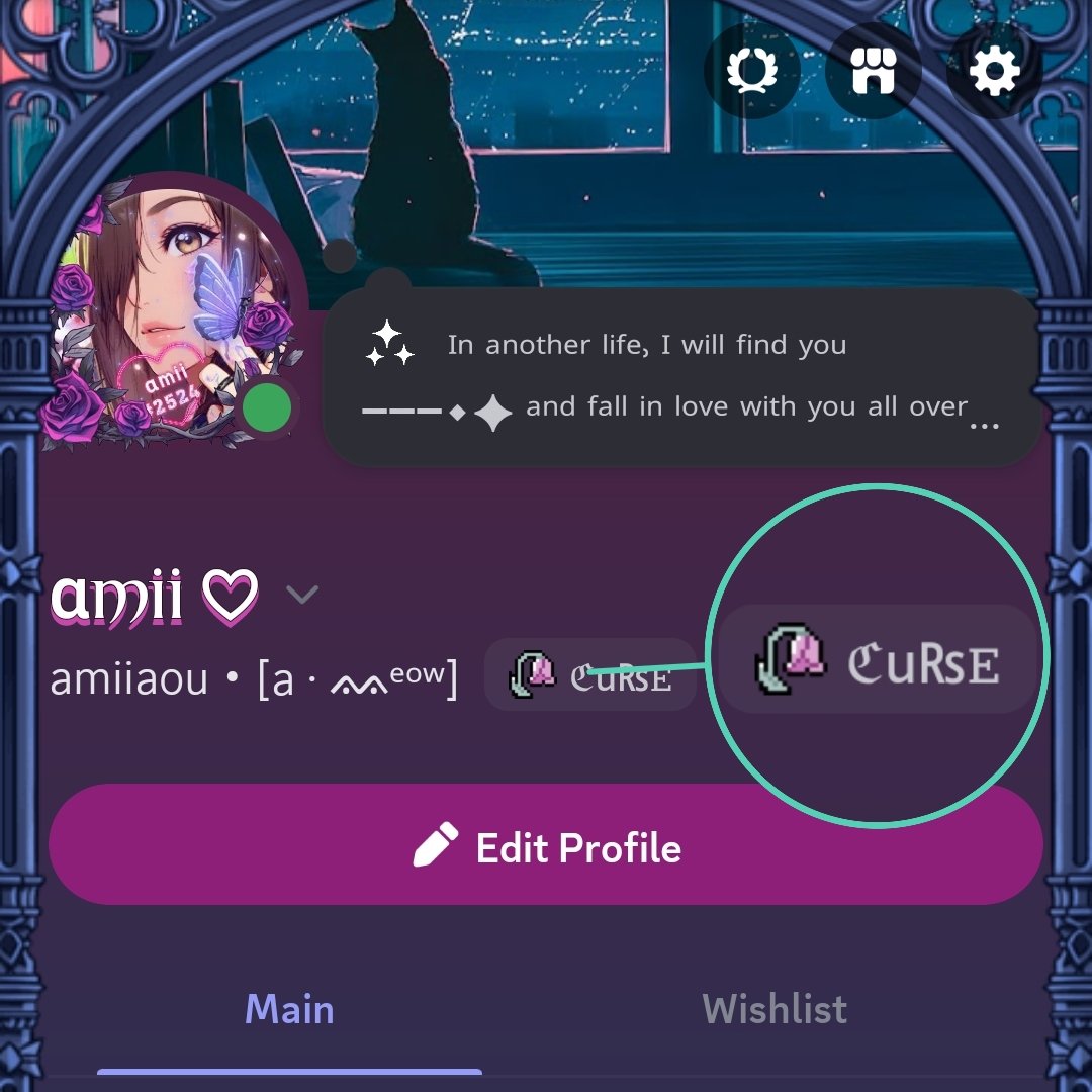 AƉA ♡ tweet media