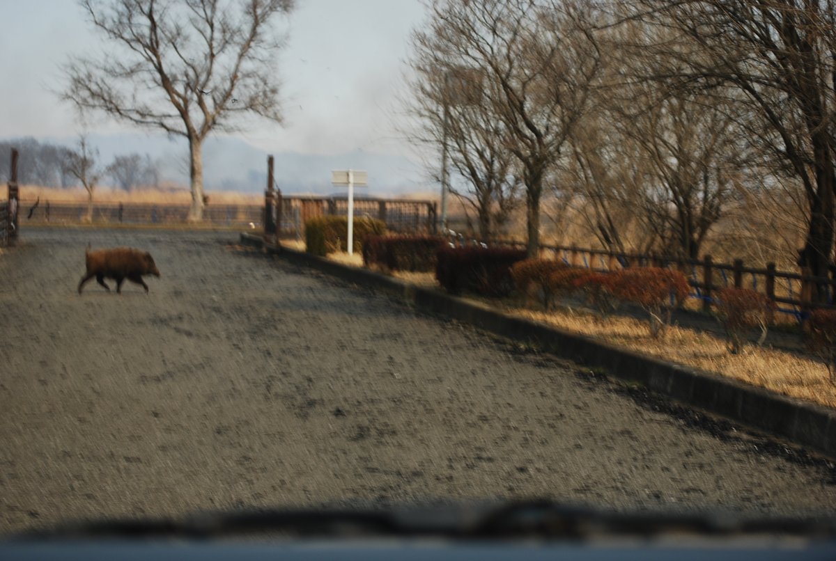 国土交通省利根川上流河川事務所 tweet media