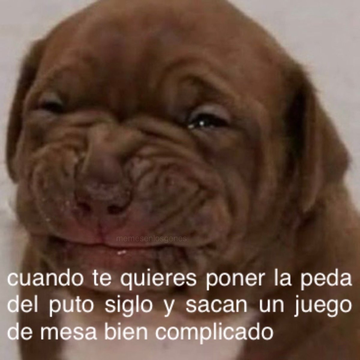 memesenlosgenes's tweet photo. https://t.co/ZMNql0FkgJ