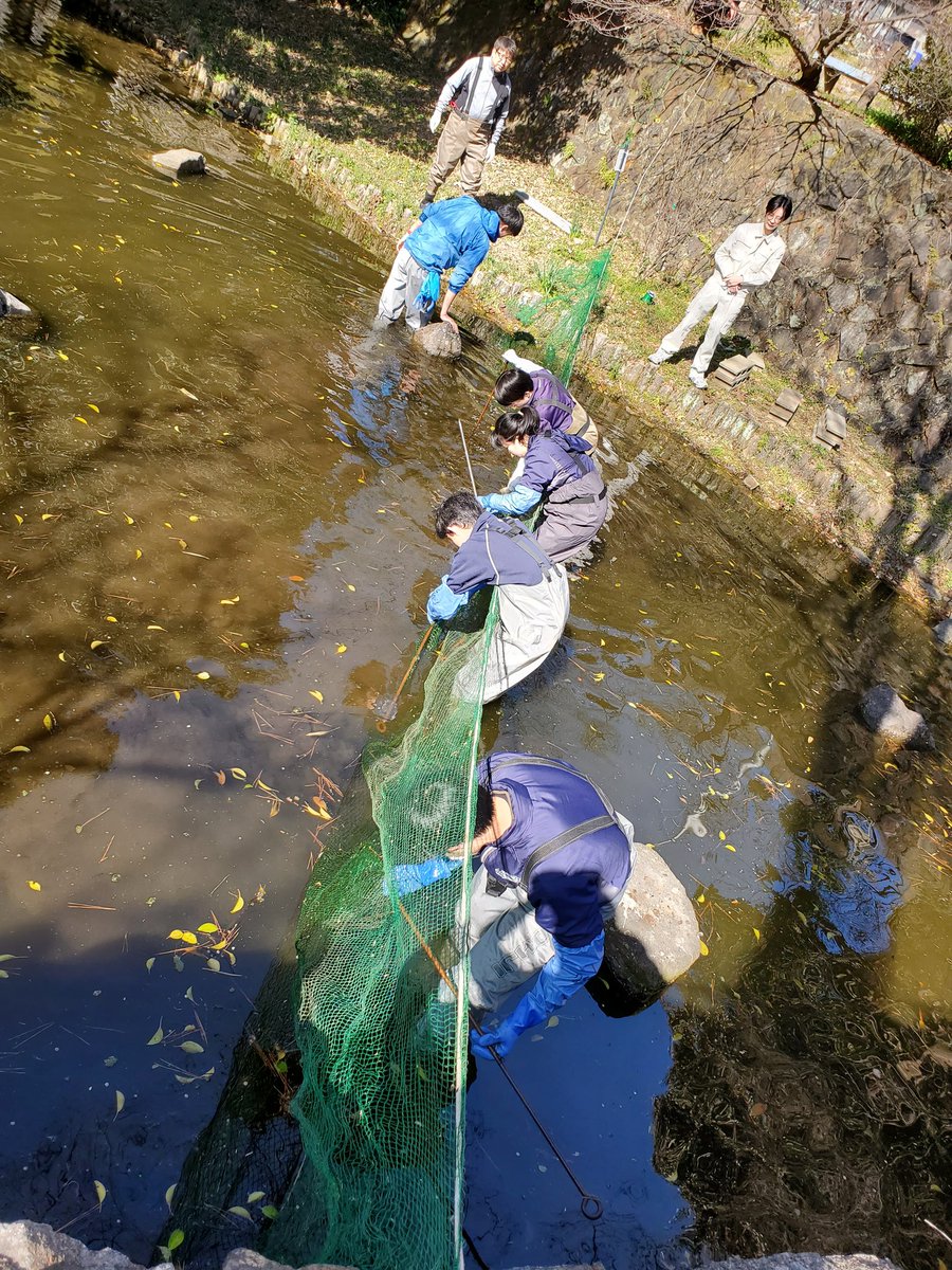 高木雅紀 tweet media