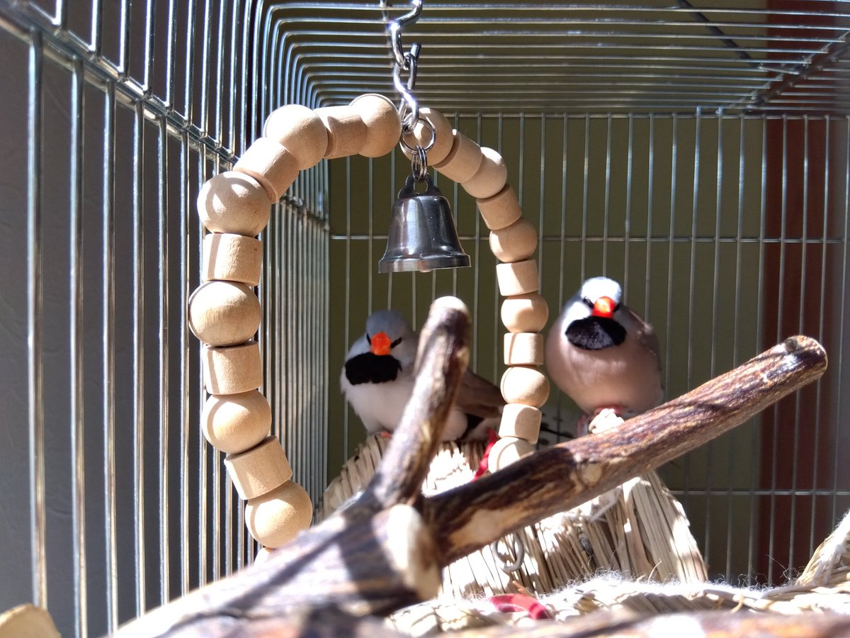 スタとフォグ tweet media