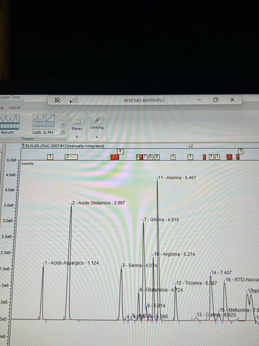 É Só Bruno Iles Mesmo. tweet media