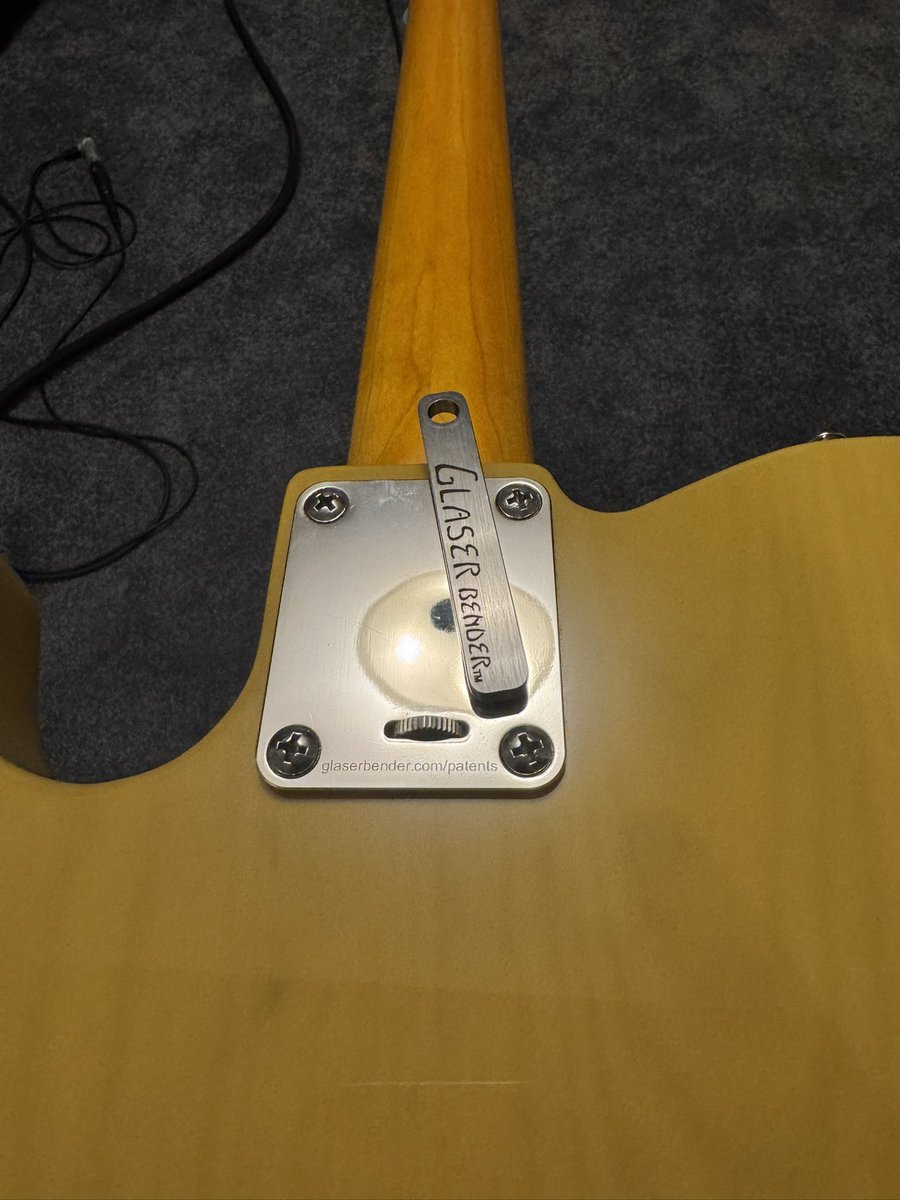 Ray’s Plectrum tweet media