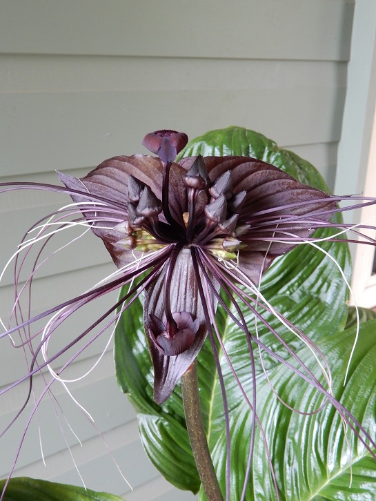 Manami.N tweet media