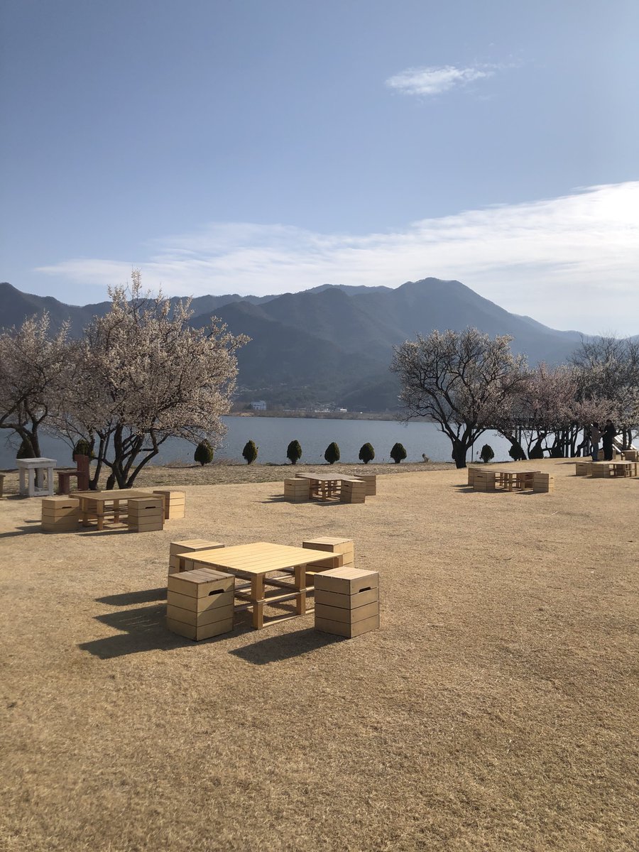 🦋오승용🍎 ⛅️ tweet media