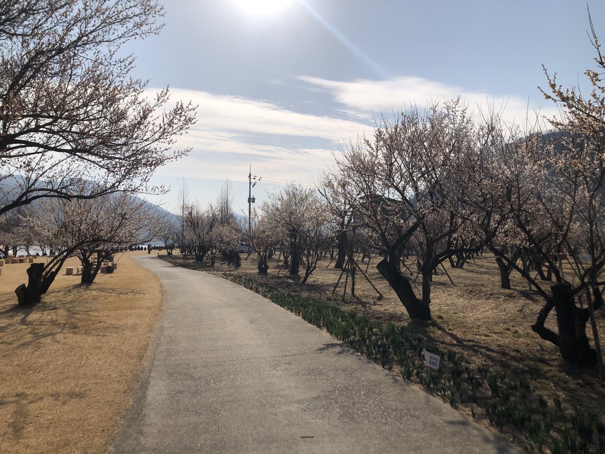 🦋오승용🍎 ⛅️ tweet media