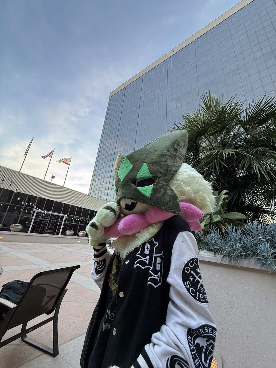 ≽^•⩊•^≼ || Kisa𓆝 tweet media